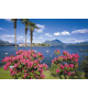 500 ks puzzle Lago Maggiore