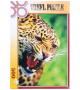 500 ks puzzle Leopard